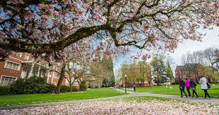 What Will They Learn? - Willamette University